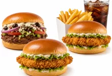 BURGERS